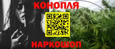 крисы Краснодар