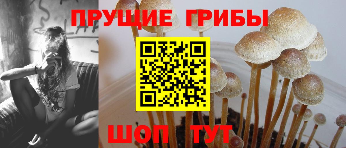 Псилоцибиновые грибы мицелий  Вход с VPN  Крымск 