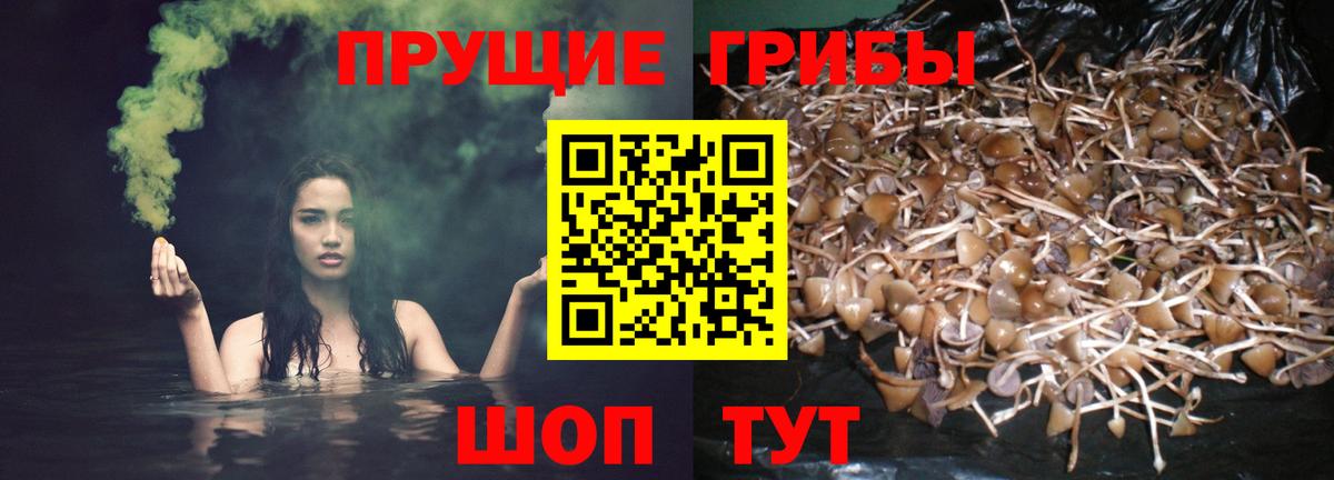 Галлюциногенные грибы мухоморы Крымск